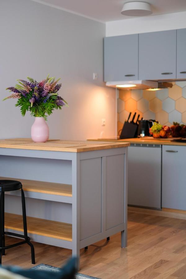 Ohtu Poik 2 City Center Basement Apartment Pärnu Eksteriør billede